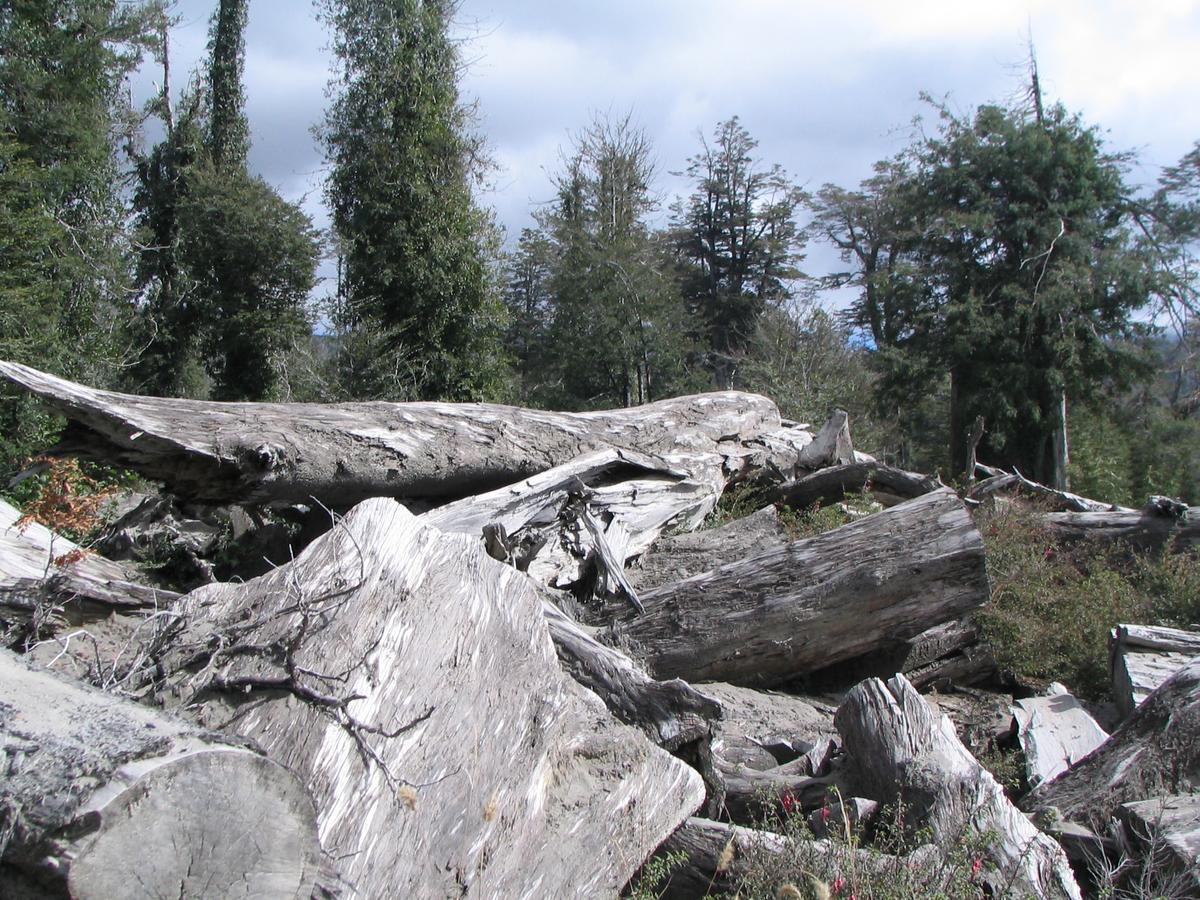 Vila Cuyinco Domos Rininahue Exteriér fotografie