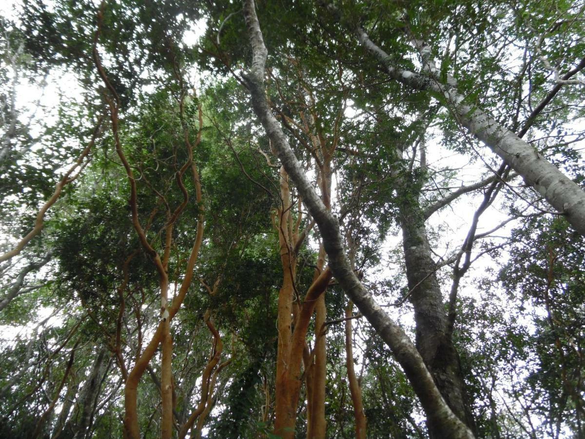 Vila Cuyinco Domos Rininahue Exteriér fotografie